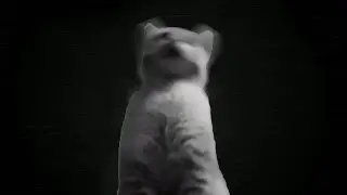 Slendercat: The Arrival