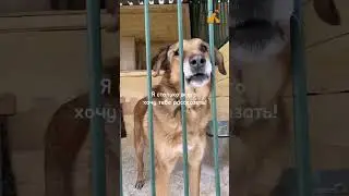 Здесь тебя всегда любят и ждут 🧡