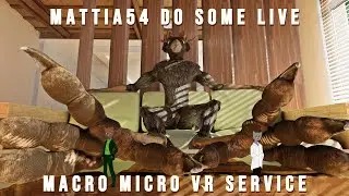 Mattia54 Do Some Live: Macro Micro Vr Service