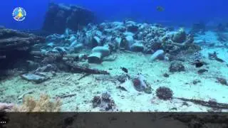Sharks Bay Umbi Diving village promo video HD
