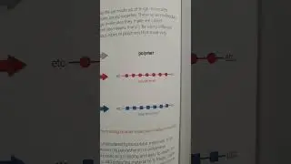 What are polymers in Chemistry?