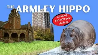 What is the Armley Hippo?