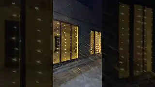 Со старым новым годом всех!!!🎄Вышли жарить колбаски🔥🌭