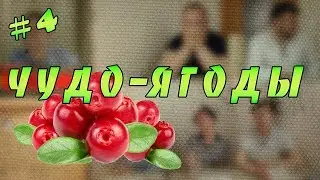 ЧУДО-ЯГОДЫ | Dungeons and Dragons