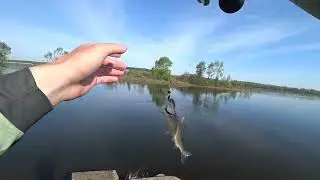 Хариус клюет на каждом забросе,ловля хариуса на микроджиг!!!