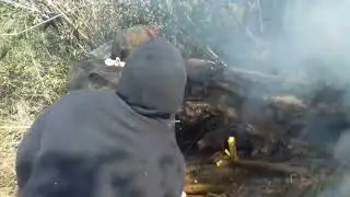Castrar miel de abejas