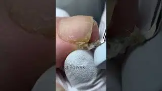 Привет! 