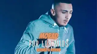 MORAD - POR LOS MÍOS (Slowed & reverb)