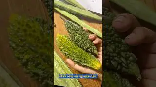 #help #travelwithsuvra #trending #viral #shorts #viralvideos #recipe #bittergourd #jamoona