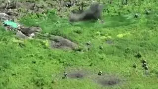 ❗️Запорожье | видео боя| Всу выбивает оккупантов из укрытий | Тяжелые бои | Наступление ВСУ | Война