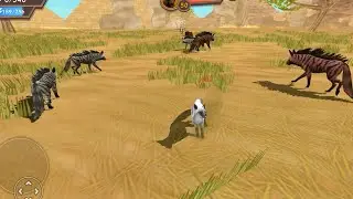 fox 🦊 dead b/w five wild wolf #wildcraft #wildcraftgameplay #boneshunt