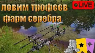 🔴ПРЯМОЙ ЭФИР В РУССКАЯ РЫБАЛКА 4/ПРОВЕРЯЮ АКТИВНЫЕ ТОЧКИ💰