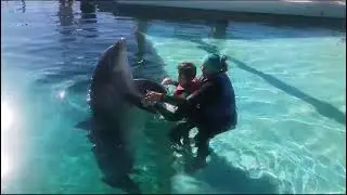 Delfinoterapia Szymona