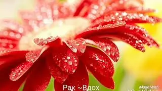 Какая ты песня по знаку зодиака