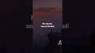 12 ноября 2021 г.