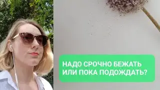 ЖДАТЬ ИЛИ ДЕЙСТОВАТЬ??