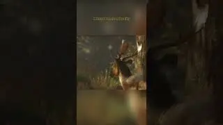 I Hunt Animals in The Digital World, But Hell No To Real Life!