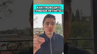 Как Стать грибным проводником?