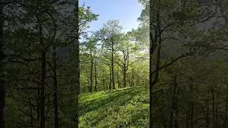 Закат на Белой горе.