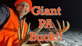 GIANT 12-POINT Pennsylvania Buck!!