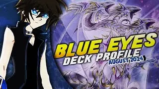 Blue Eyes Deck Profile! (August 2024//Yu-Gi-Oh!)