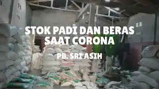 ALHAMDULILLAH‼️ STOK PADI DAN BERAS SAAT CORONA MASIH PENUH - PB. SRI ASIH
