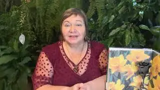 Почему современные нарциссы быстро теряют декоративность?
