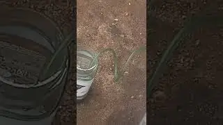 как прокачать тормоза одному без чьей либо помощи #какпрокачатьтормозаодному #автолайыхак