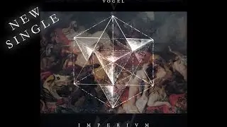 Vogel - Different Skin
