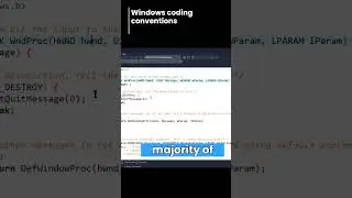 windows coding conventions - C++ windows programming