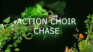 AUDIO JUNGLE NO COPYRIGHT action choir chase