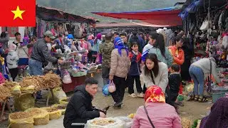 Cốc Ly Market: Discovering Mountain Cuisine and Fascinating Experiences