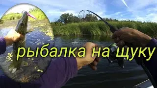 Ловля щуки на спиннинг.