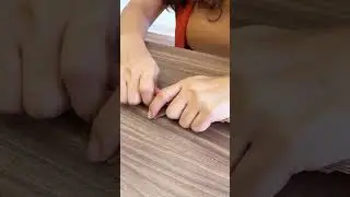 Palma de papel Kraft