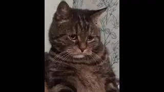 Как не стоит стряхивать ноги от снега.