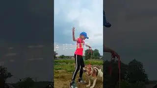 ?? звук брать со отметкой! #дворняжка #топ