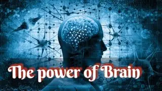 Top -19 Facts About Brain 🧠