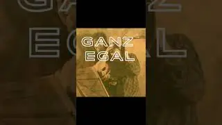 25 Jahre „ganz oben“ | Die Prinzen