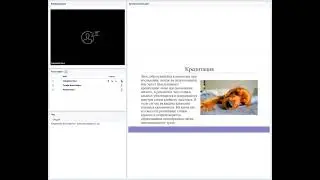 Аускультация в ветеринарии.