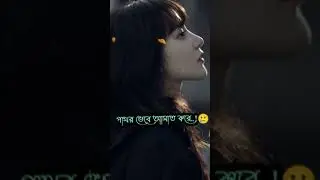 কিছু মানুষ আমাকে পাথর ভেবে আঘাত করে 💔