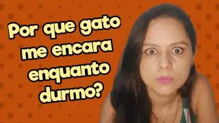 Por Que Meu Gato me Encara Enquanto Durmo? 👀