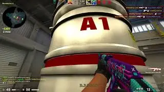 I'm back (2022 highlights)