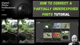 Correcting a partially underexposed photo | Canon DPP4 Tutorial| Digital Photography Professional 4|