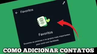 Como favoritar um contato na sua conta do whatsapp