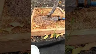 Как я поливаю и подкармливаю деревья #сад #полив