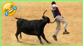 Funny Videos Compilation 🤣 Pranks - Amazing Stunts-by MrVava#47