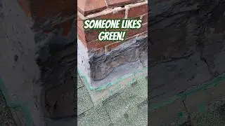 What a mess! 🤦‍♂️ #roofershelper #roof #roofer #roofing #shorts #green