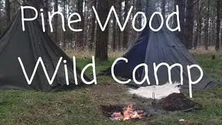 Pine Woodland Lavvu Wild Camp
