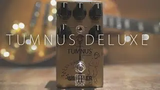 Wampler Tumnus Deluxe - Demo & Playthrough