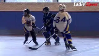 Ladiv'sport reportage hockey roller